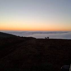 Du coup, ce soir, c'est spot au dessus du brouillard sur la mer (et maintenant on est même dedans !)