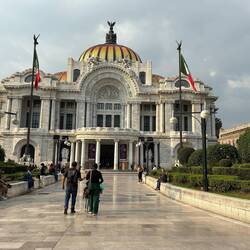 A portrait of Bellas Artes