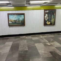 Mexico City Metro art