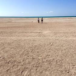 Shell Beach