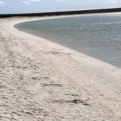 Shell-Beach/Muschelstrand