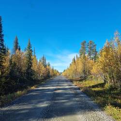 "Endlose" Strasse durch die Natur
