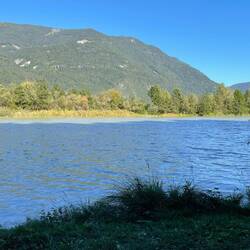 Viel Wasser in der Drau