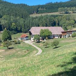 Bilderbuch-Hof vor Hausach