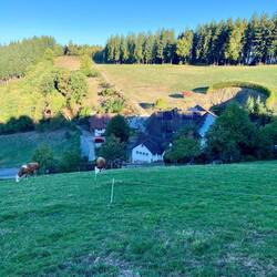 Etappenstart am Morgen, der Harkhof noch im Schatten