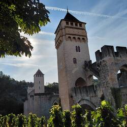 Another view with the grapevines in the foreground