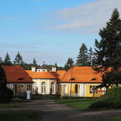 Ein altes verfallenes Kloster, mitten im Wald