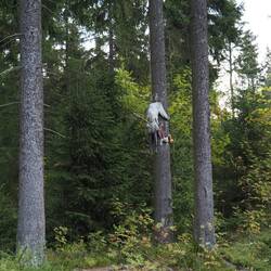 ...eilen die Warnungen voraus. Dieser Weg wird kein Spaziergang