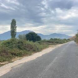 Quiet backroad