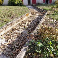 And the leaves were all over the lawn and paths