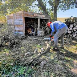 Luckily I brought my chainsaw qualified assistant with me