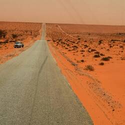 Auf 200 Kilometer ändert sich die Landschaft nicht 😳