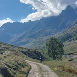 På vej ind af dalen; Vallée du Ribon