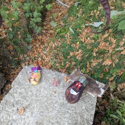 King Aubergine and his squire, Tatertot