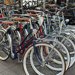 mein Traumfahrrad