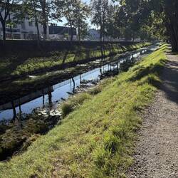Kanal mit stehenden Wasser aber super Velo wegen