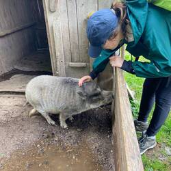 Oink!!!