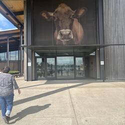 Tillamook Cheese Factory