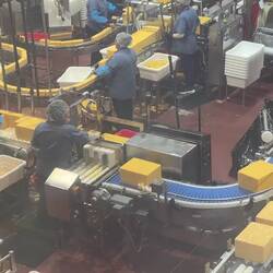 40 pound blocks of chesse being cut into smaller blocks