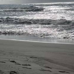Waves