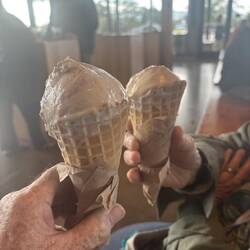 Ice cream cones for dessert