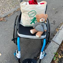Balu ist dabei! Wo ist Lars?