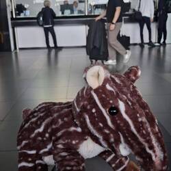 Hinzen am Exchange- Schalter Raphaela, im Vordergrund Tapirbaby "Olli" auf Katrins Schoß