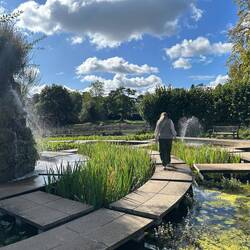 Water Maze. Such fun.