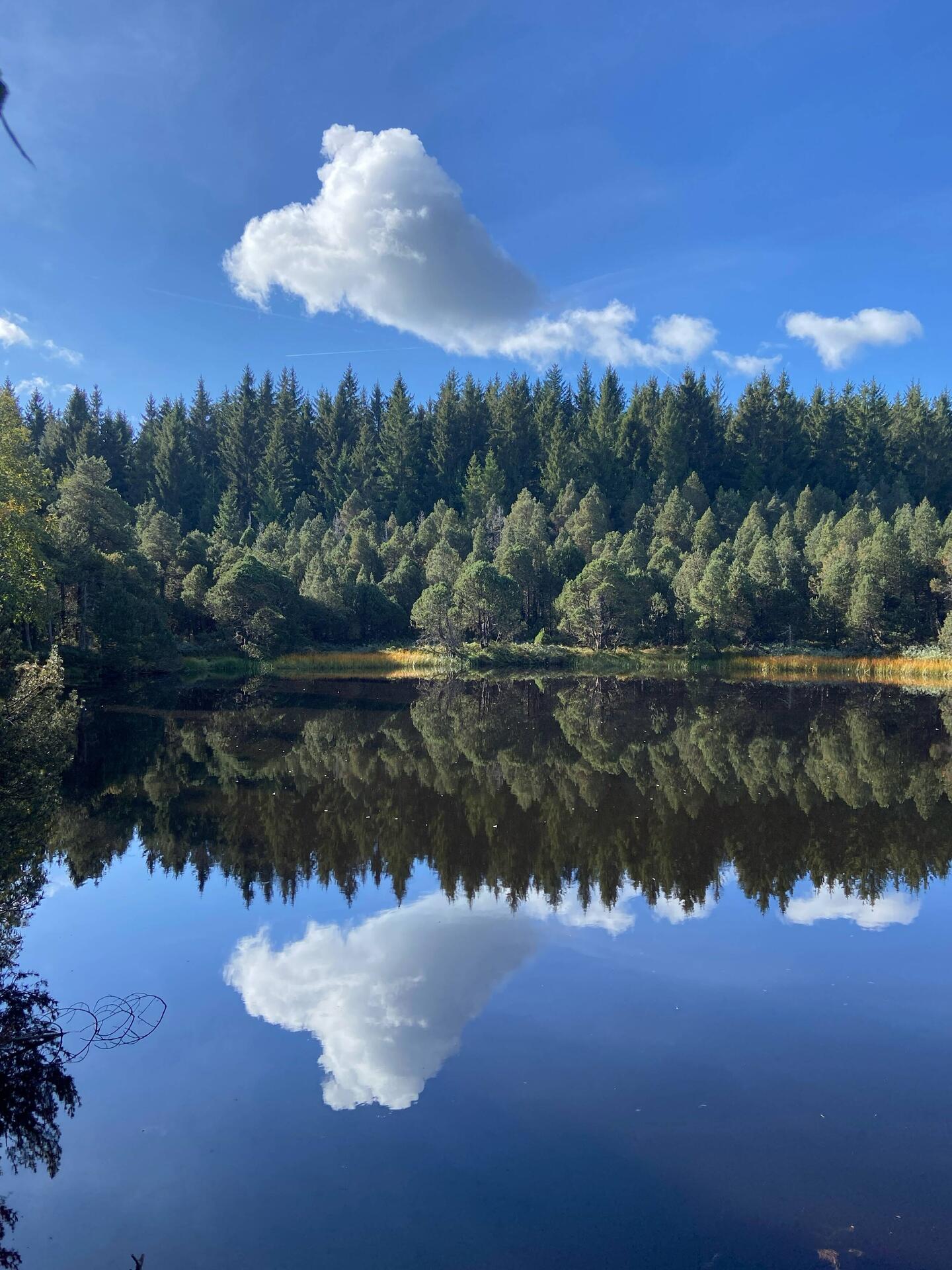 Der Blindsee an einem perfekten Morgen