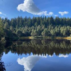 Der Blindsee an einem perfekten Morgen