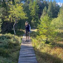 Im Blindsee-Moor