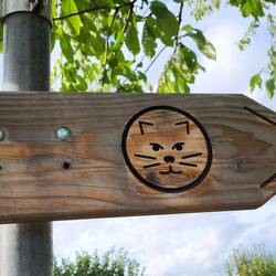 Den Wildnis-Trail gehe ich demnächst mit Leni 🐈. - Vielleicht.