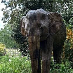 Lantana elephant