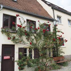 Zu früh fürs Bier - bei der schönen Altstadt