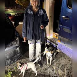 Wiedersehensfreude