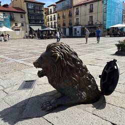 Lions everywhere - León