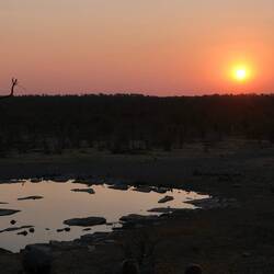 Sonnenuntergang am Wasserloch