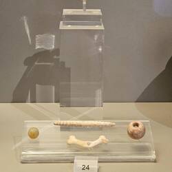Grave goods from Paros 3000BC