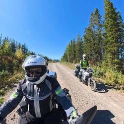 Fun single track forestry road.