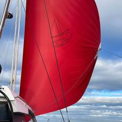 I couldn't resist. 1 hour of single-handed work to change from main+foresail to this.
