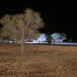 A view from the lodge restaurant - the waterhole is lit and at times animals visit