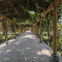 Pleasure gardens at the summer palace