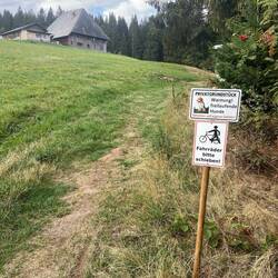Toller Start heute: Vorsicht freilaufende Hunde auf dem Westweg. Na super, dann lieber scheue Wölfe