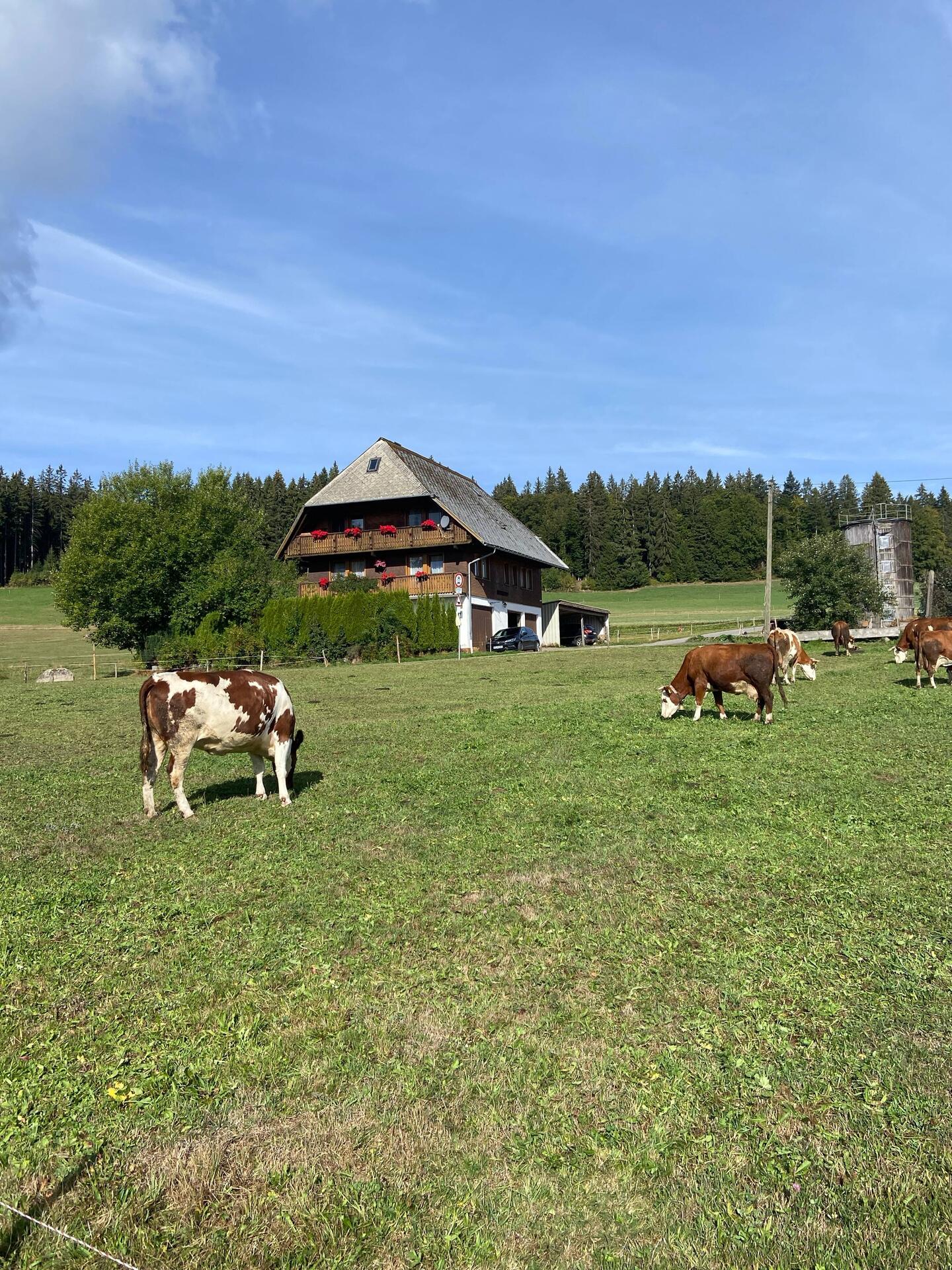 Symbolbild für diese Etappe 🙂