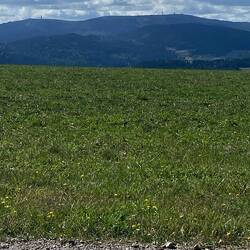 Ausblick auf die Sonntagsetappe: Feldberg (rechts) und Seebuck (links)