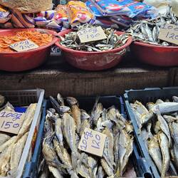 Besuch in der Markthalle