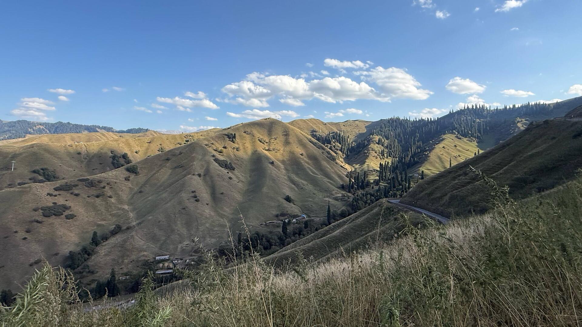 Nalati Grassland