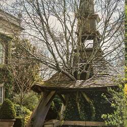 Saving trees at Highgrove