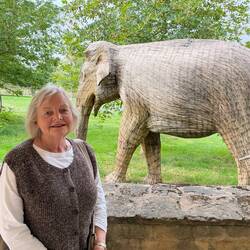 HIghgrove also has lantana elephants.