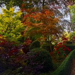 Autumn colour at Highgrove